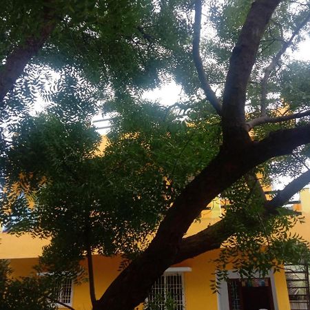 Thendral Hostel Monthly Rental Ποντισερί Εξωτερικό φωτογραφία