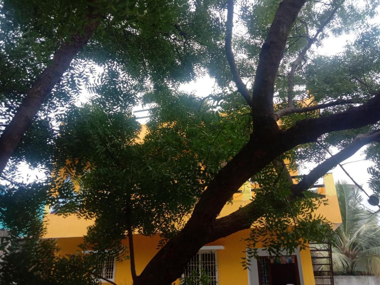 Thendral Hostel Monthly Rental Ποντισερί Εξωτερικό φωτογραφία